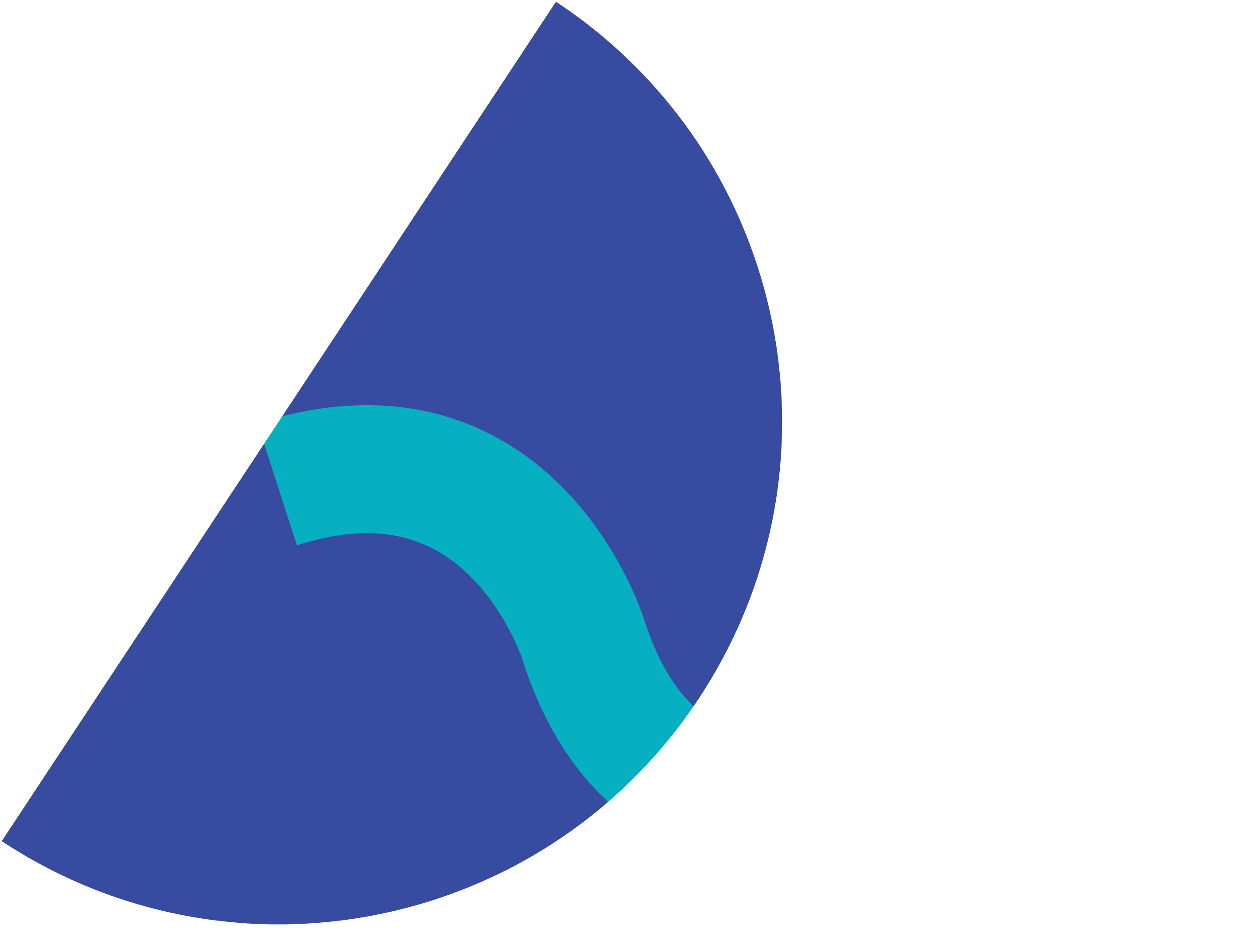 Logo Pingo